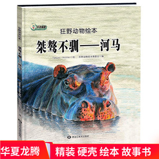 精装硬壳绘本 河马  狂野动物绘本：桀骜不驯—河马 幼儿园硬皮绘本百科知识 儿童故事书亲子故事绘本阅读书籍正版现货