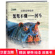 硬壳绘本 儿童故事书亲子故事绘本阅读书籍正版 河马 幼儿园硬皮绘本百科知识 现货 狂野动物绘本：桀骜不驯—河马 精装