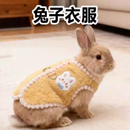 宠物兔子衣服专用冬天装扮保暖侏儒可爱幼兔垂耳冬装背心服装用品