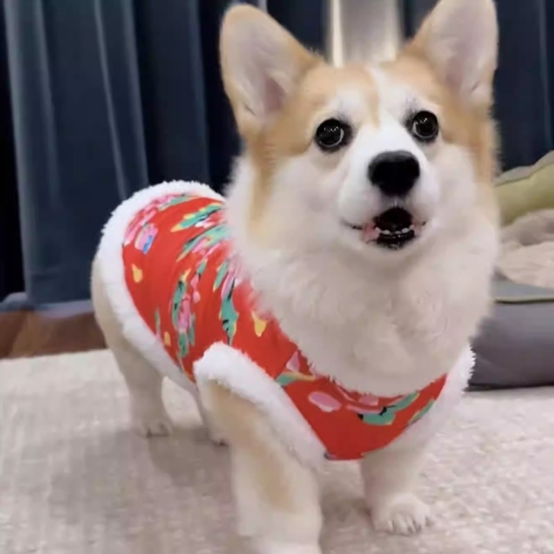 秋冬款东北大花猫咪棉袄毛绒领口宠物服装新年唐装保暖狗狗衣服,宠物/宠物食品及用品,狗宠物服装/雨衣,淘宝优惠券,粉丝福利购,淘宝优惠卷