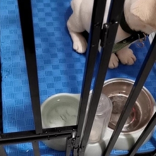 狗笼垫防尿地垫子脚垫裁剪垫可垫子防抓宠物拆洗繁育垫猫笼防水