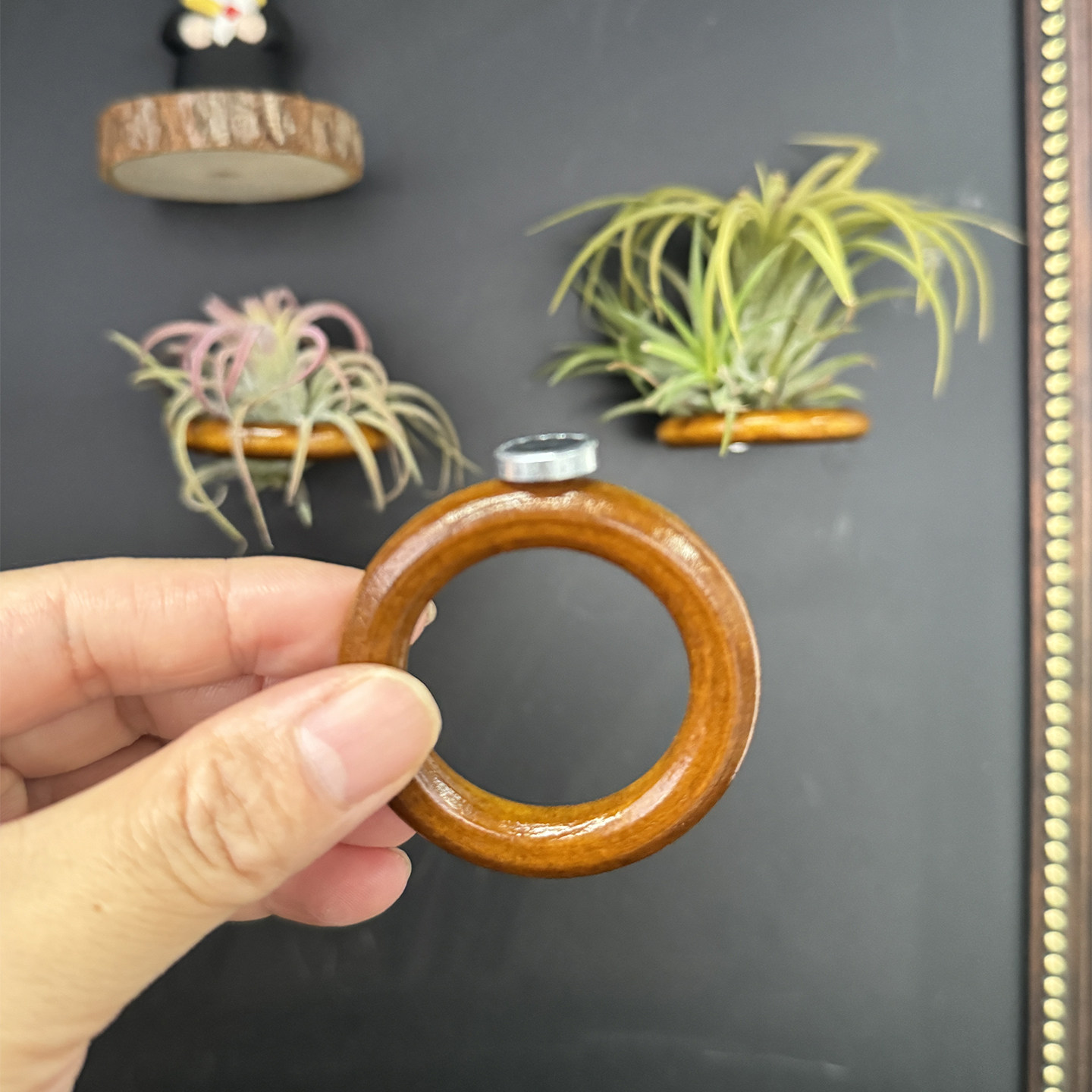 木环木圈木桩配件空气凤梨植物相框星星人公仔展示框摆件挂墙装饰图片