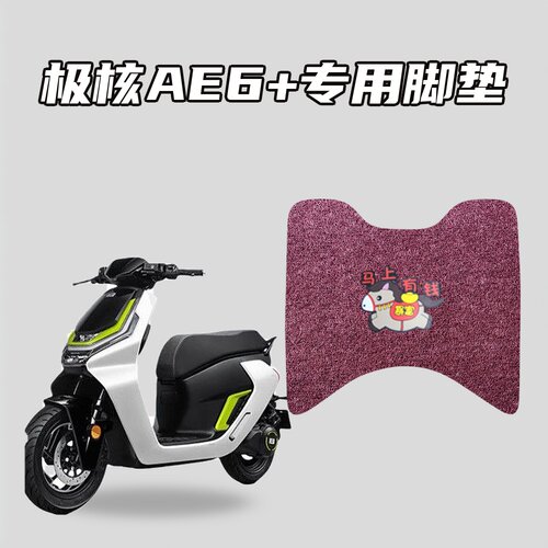 适用极核AE6+专用环保丝圈脚垫防水耐磨防滑耐脏易清洗专车定