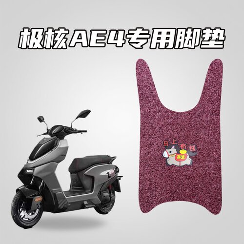 适用极核AE4专用环保丝圈脚垫防水耐磨防滑车载汽车内饰配件
