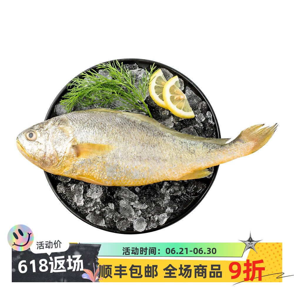 【大黄鱼2斤/条】新鲜舟山黄花鱼冰鲜非冷冻小鲞新鲜宁德商用
