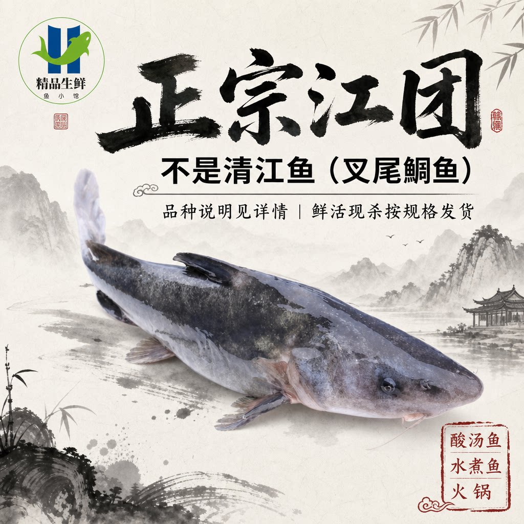 【江团】非清江鱼鲜活现杀新鲜长吻肥沱王回头渡红烧烤鱼钩黔钳鱼