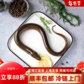 野黄鳝2斤 活体鳝丝新鲜现杀响油鳝糊放生大土白鳝鱼肉端午节