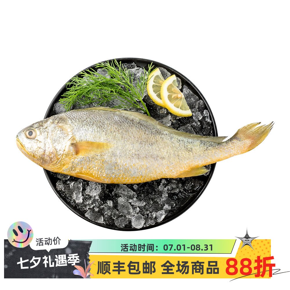 【大黄鱼2斤/条】新鲜舟山黄花鱼冰鲜非冷冻小鲞新鲜宁德商用