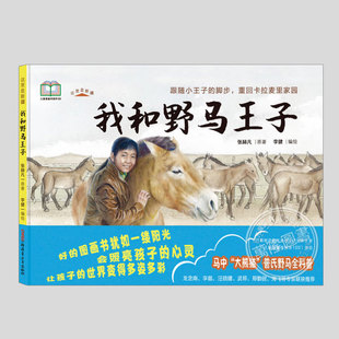 我和野马王子(正版硬壳精装)普氏野马,这里是新疆系列儿童绘本3三-4-5到6岁以上幼儿园大中小班孩子早教阅读睡前启蒙故事图画书籍
