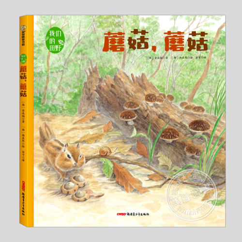 顽龙麻麻引进版绘本精选