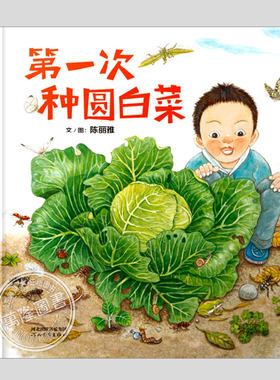 第一次种圆白菜(正版硬壳精装)上海好童书奖,自然生态教育儿童绘本3三-4-5到6岁以上幼儿园大中小班孩子早教阅读启蒙故事图画书籍
