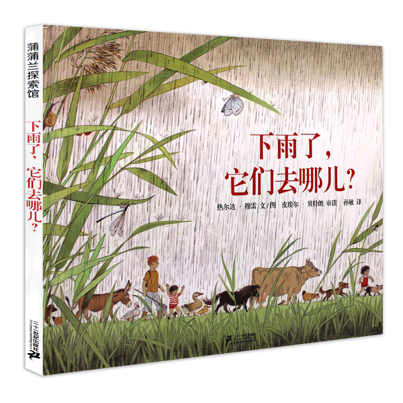下雨了,它们去哪儿儿童绘本精装绘本蒲蒲兰少儿环境观察自然故事绘本3