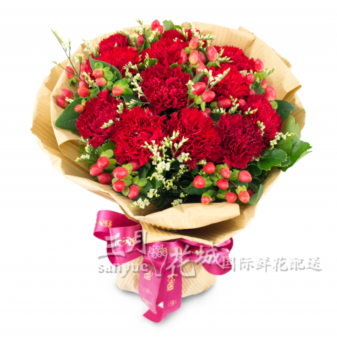 马来西亚母亲节康乃馨鲜花包送