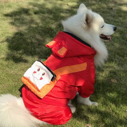 金毛中大型犬四脚棉衣