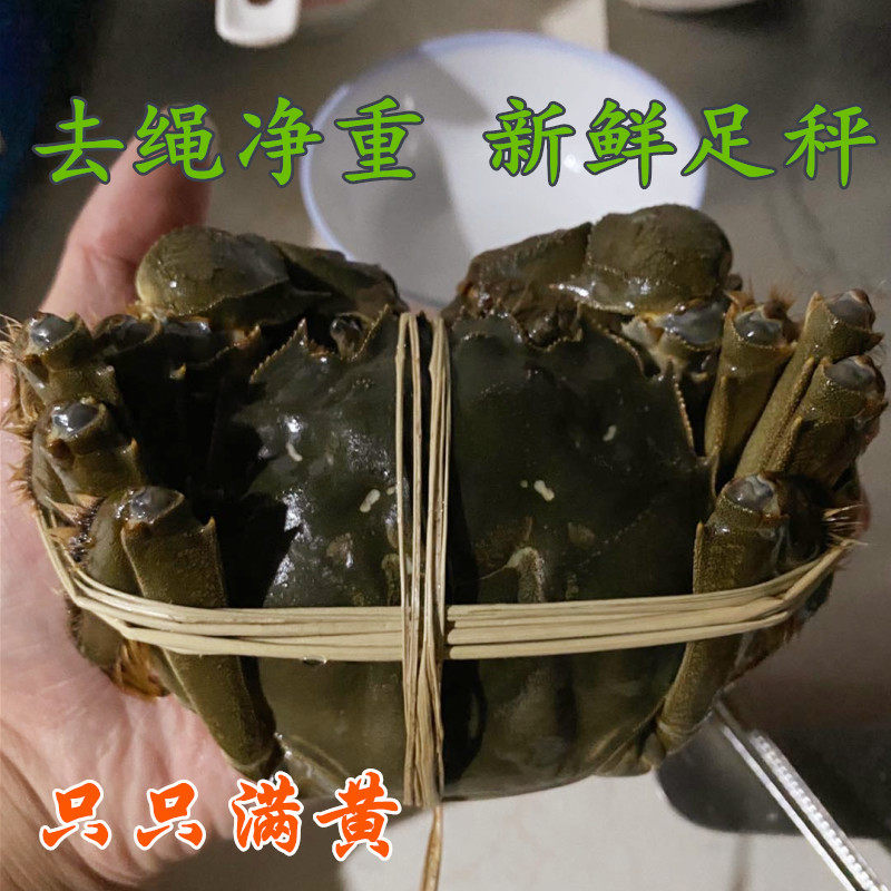鲜活螃蟹净重6两太湖大闸蟹礼盒