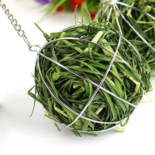 兔子草球宠物用品不锈钢圆球喂草架悬挂草球豚仓鼠家兔荷兰猪用品