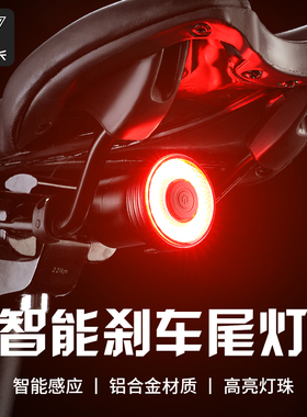 塔斯队长山地自行车尾灯充电公路单车夜骑防水智能刹车感应灯骑行