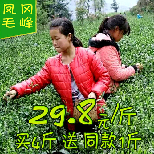 遵义毛峰凤冈锌硒茶湄潭绿茶