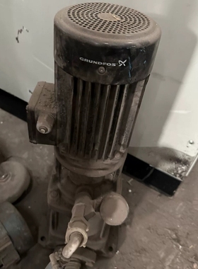 格兰富水泵。拆机一台立式泵，型号A96516595P1043 议价