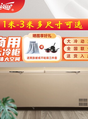 白雪商用冰柜大容量冷柜冷冻冷藏一体空间342/519/778/830/1050L