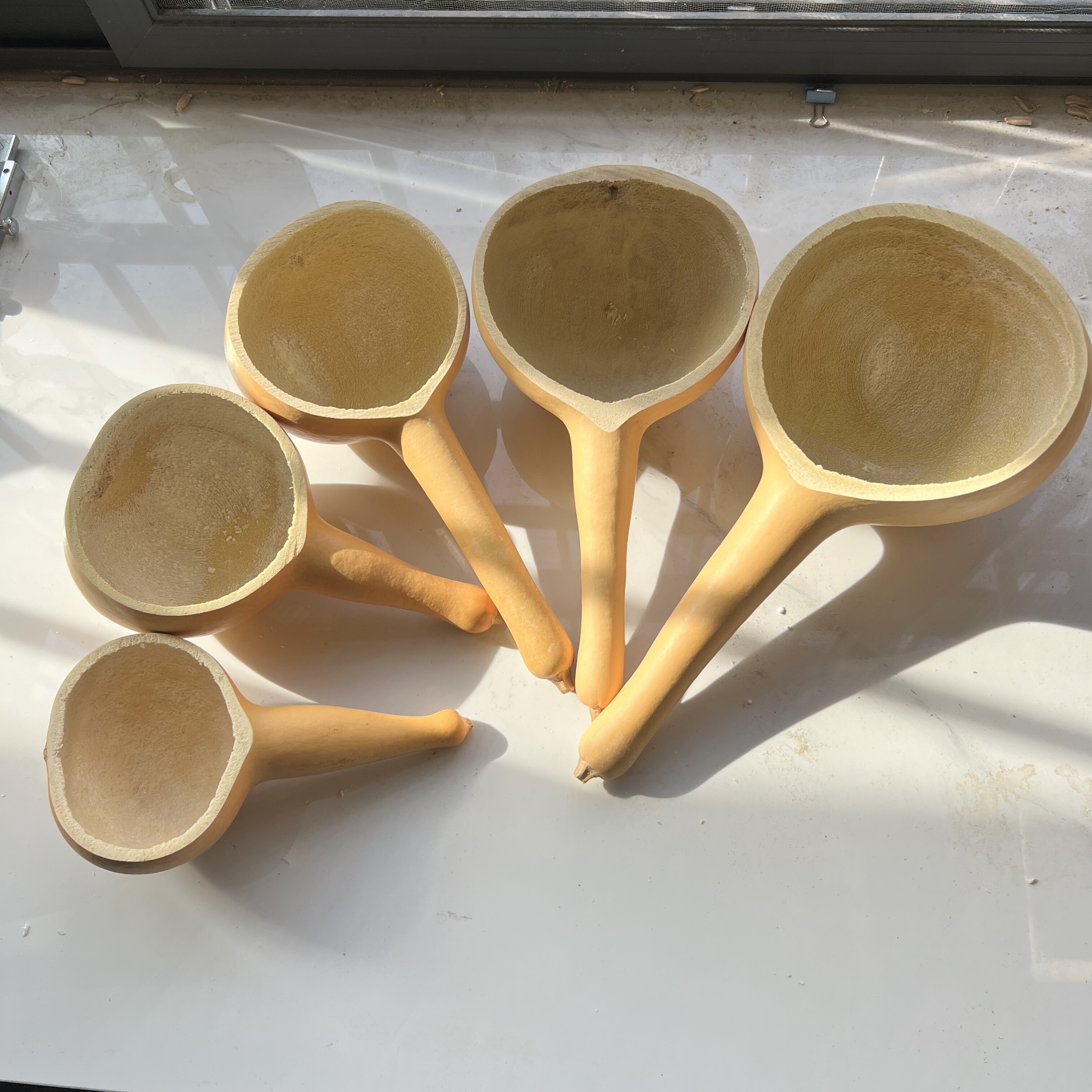 网红长杆葫芦瓢纯天然厨房舀水舀面瓢勺餐厅养生摄影道具复古大号