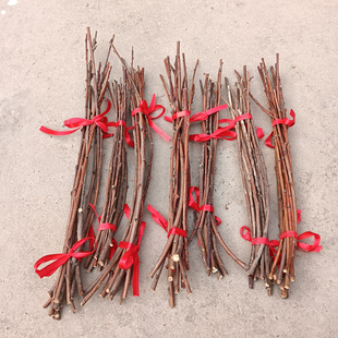 天然野生桃木枝桃树枝东南枝宝宝婴儿出院惊吓啼哭压惊桃木桃枝条