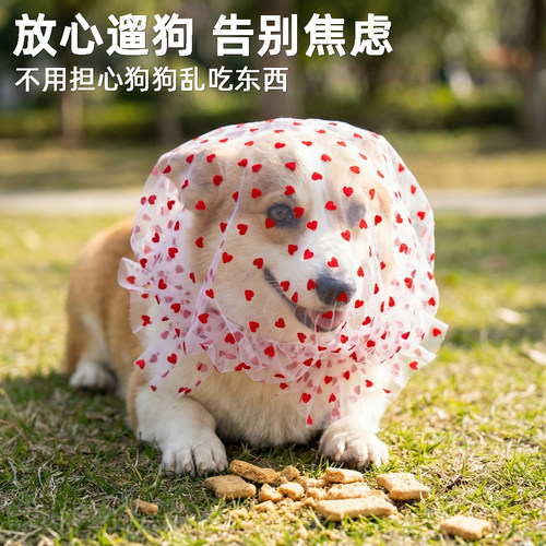中小型犬泰迪比熊防舔防误食嘴套