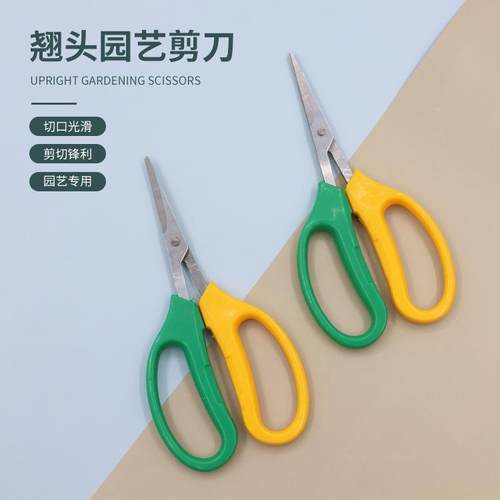 园林工具果树采摘葡萄修果专用摘果剪不锈钢园艺稀果剪刀翘头剪
