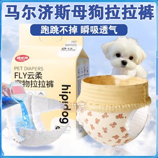 马尔济斯母狗狗专用生理裤纸尿裤姨妈拉拉裤小狗用的尿不湿可排泄