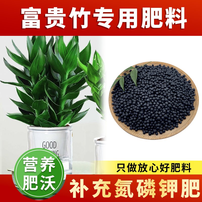 富贵竹专用肥阳台盆栽有机肥料绿植物家用施肥氮磷钾转运观音竹