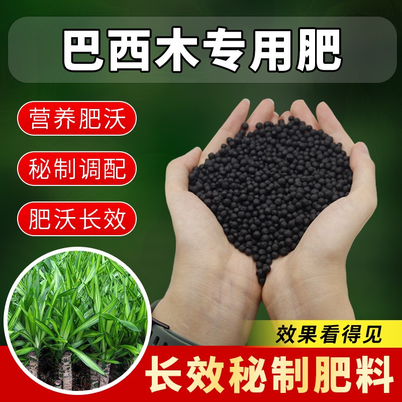 巴西木专用肥料家庭盆栽金边幸运木巴西木肥料土培水养有机颗粒肥