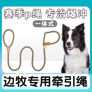 边境牧羊犬狗狗专用牵引绳防爆冲p绳套脖子遛狗绳子p链幼犬边境牧