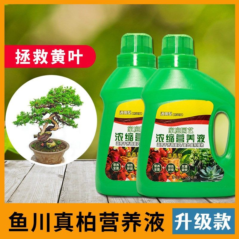 鱼川真柏营养液肥料专用室内育苗无土栽培养花水养园艺插花增长液,鲜花速递/花卉仿真/绿植园艺,其它园艺用品,淘宝优惠券,粉丝福利购,淘宝优惠卷