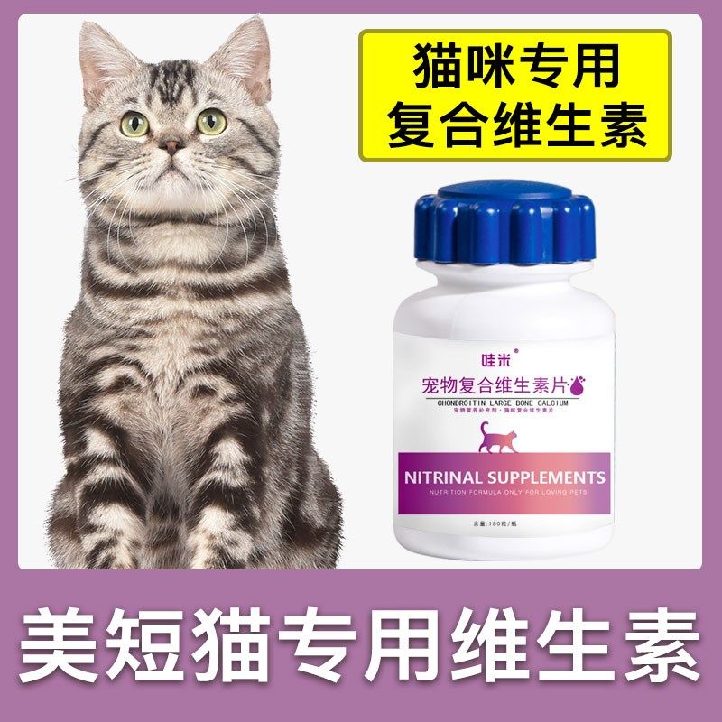 美短专用复合维生素片宠物补充剂成幼猫维生素b猫咪营养品保健