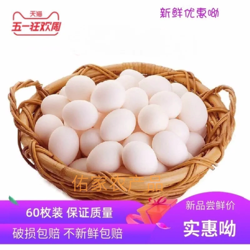 新鲜鸽子蛋60枚圆通包邮优质散养土鸽蛋孕婴营养辅食五谷杂粮喂养