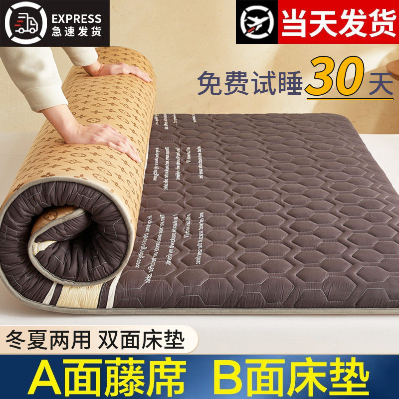 夏季冰丝凉席床垫软垫家用学生宿舍单人冬夏两用榻榻米床垫子薄款