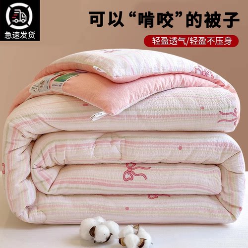 【小红书推荐】加厚保暖春秋被