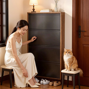 三梦超薄鞋柜中古风钢制家用门口2026新款入户玄关窄鞋柜门外走廊