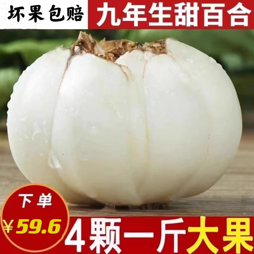 兰州鲜百合新鲜特级黄500g甘肃