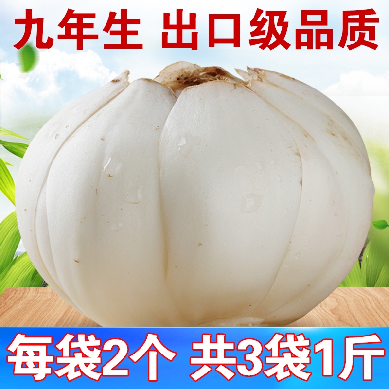 9年生甘肃土特产兰州新鲜百合500g两头黄农家食用非特级百合干 传统滋补营养品 百合 原图主图