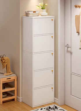 防尘鞋柜家用门口入户玄关简易小户型鞋架楼道外走廊高窄收纳储物