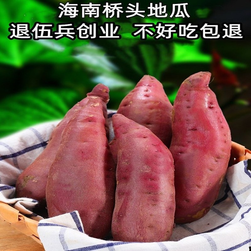 9斤迷你宝宝果 海南澄迈桥头富硒地瓜沙土农家新鲜番薯黄心板栗薯