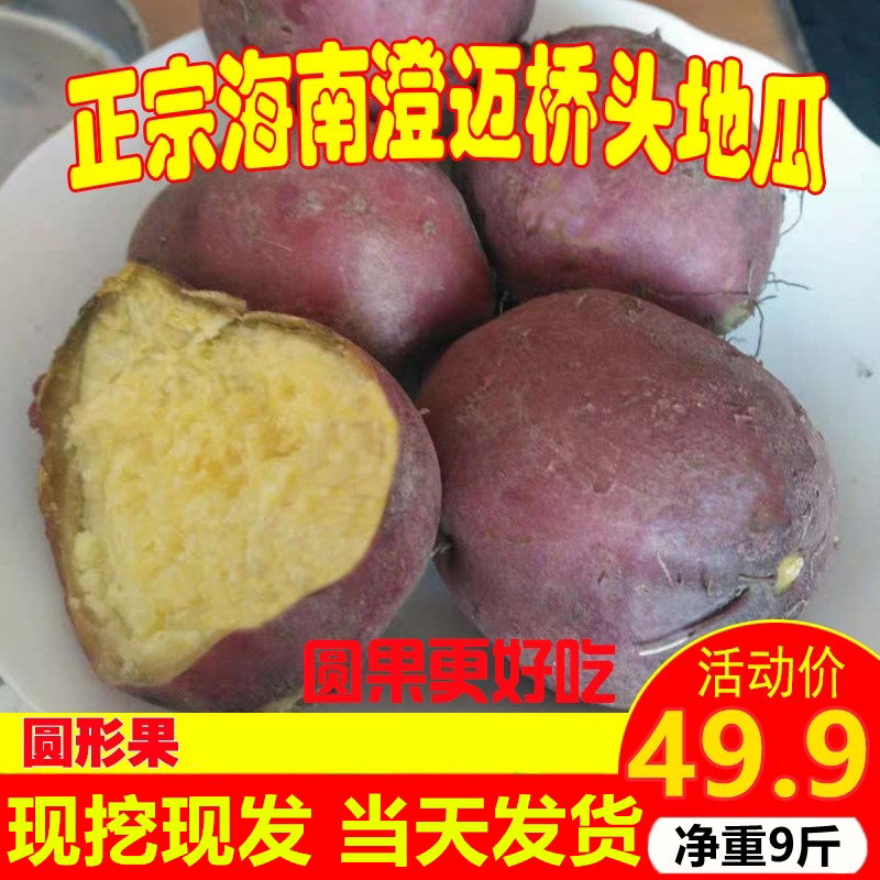 新鲜圆果富硒地瓜海南澄迈板栗薯图片