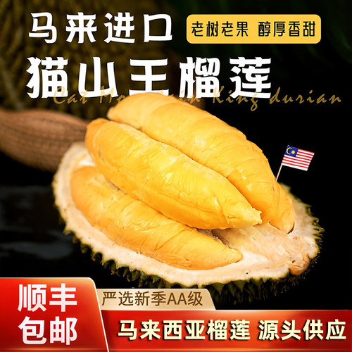 马来西亚猫山王液氮冷冻榴莲D197