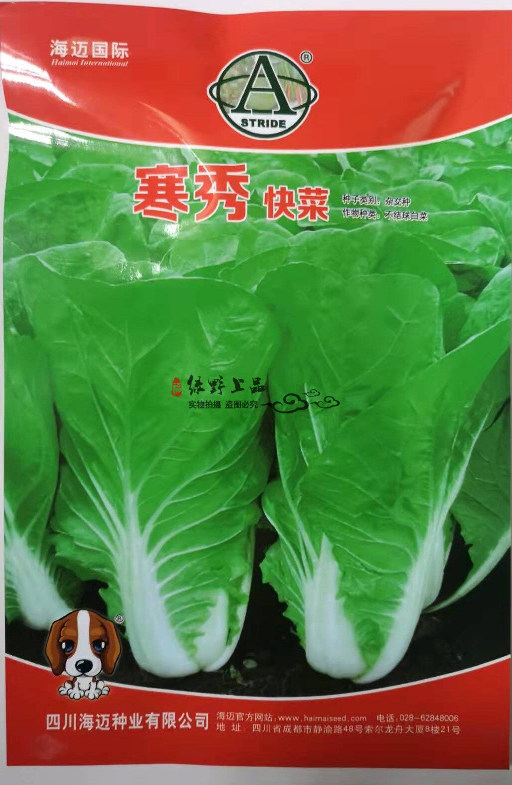 20-30天四季小白菜耐抽苔种子 寒秀快菜 淡绿叶片肥大厚嫩叶帮宽