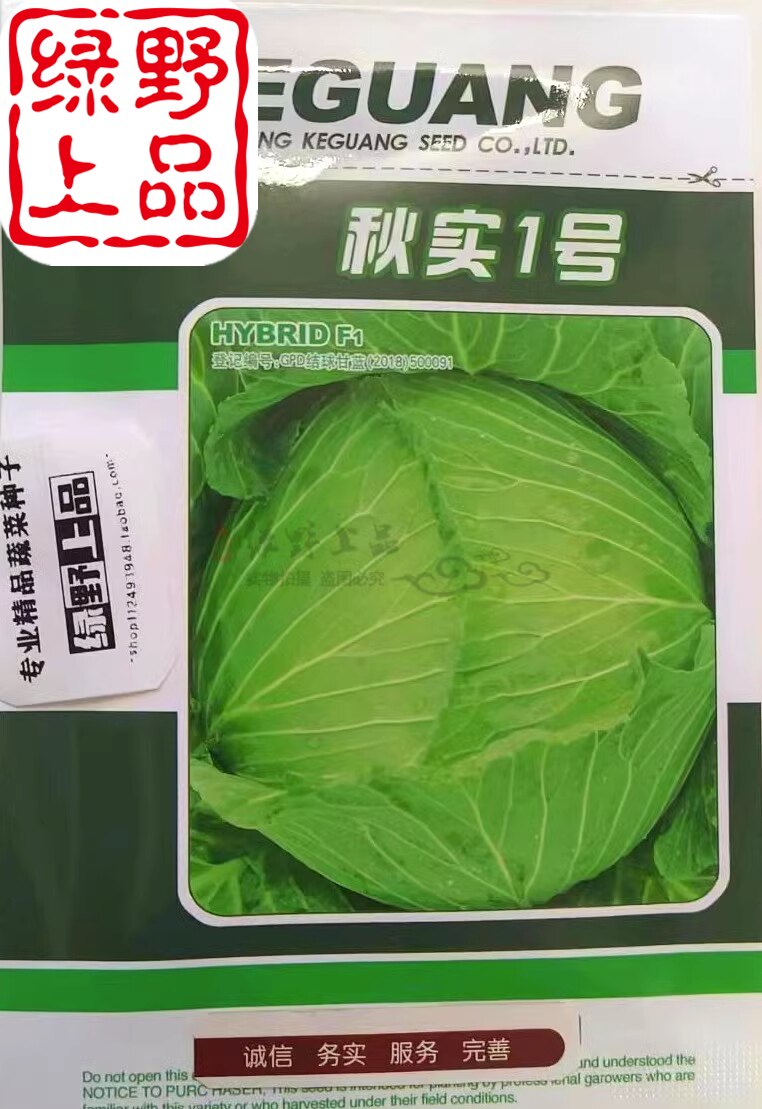 重庆农科院早中熟杂交甘蓝种子 秋实1号 甜脆扁圆甘蓝包包菜白菜
