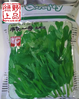 绿野上品四川正宗改良无须豌豆苗种子 丰优一号 大胖子豌豆尖种子