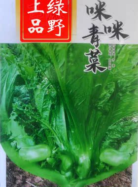 重庆四川农家老品种地方特色酸菜泡菜种子 泡青菜奶奶菜包包青菜