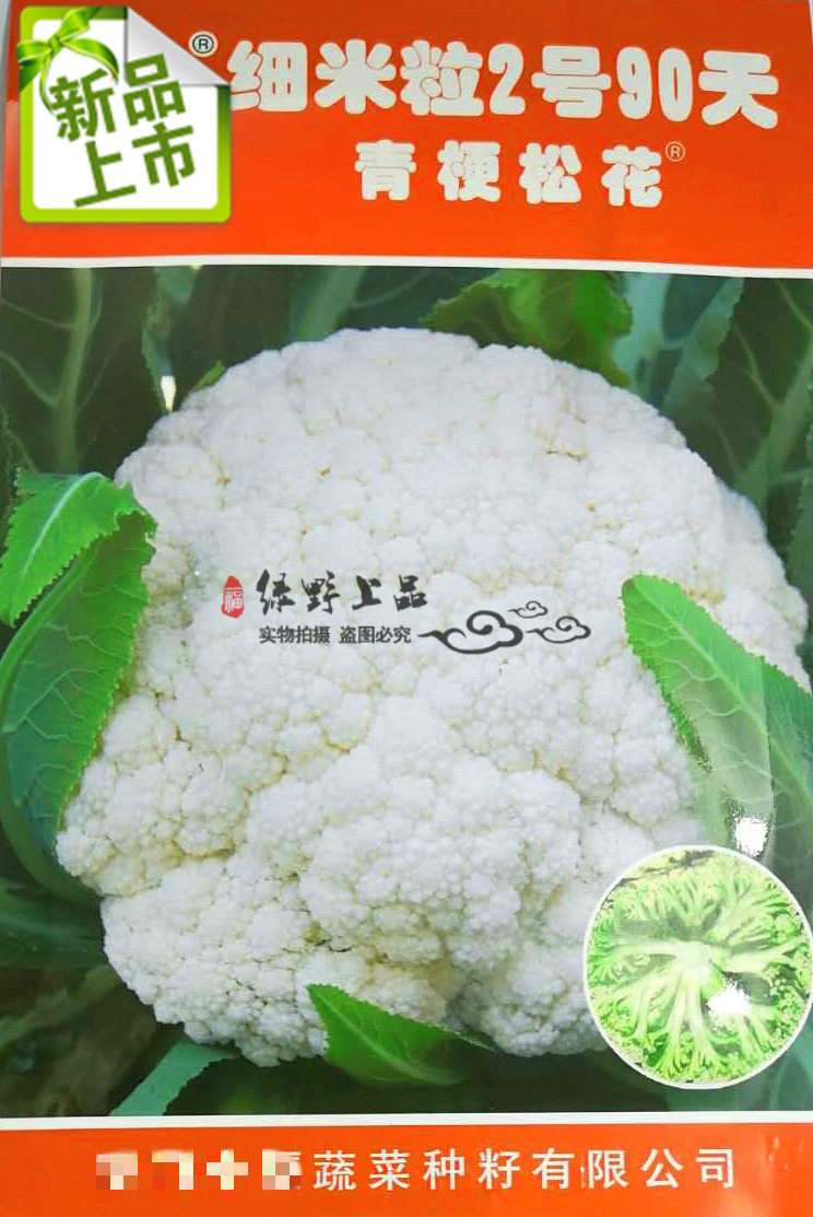 绿野上品|台湾青梗松花菜种子籽 细米粒2号90天 雪白花菜菜花松散