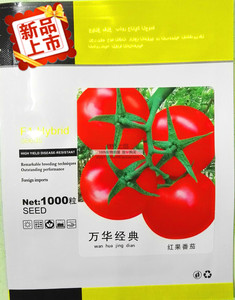 绿野上品高端精品番茄种子万华经典有限生长自封顶大红果番茄抗病